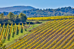 Tuscany