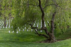 Arlington National Cemetery