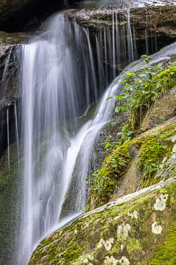 Shenandoah National Park