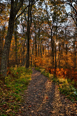 Shenandoah National Park