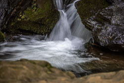 Shenandoah National Park